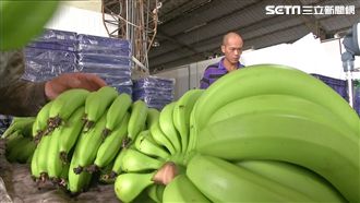 蕉苗量失控？農委會喊冤：提醒還被罵