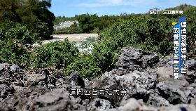 (深一度)爐渣地養鴨