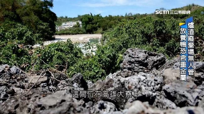 爐渣廢棄緊鄰養殖場　戴奧辛鴨恐再現