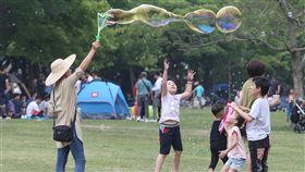 穩定好天氣　小朋友戶外開心玩中央氣象局表示，各地29日都屬晴朗穩定的好天氣，台北華山文創園區大草原上，有小朋友追著泡泡玩，看起來相當開心。中央社記者謝佳璋攝　107年4月29日