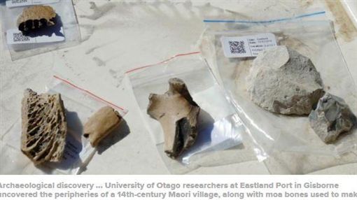 滅絕逾500年 恐鳥骨 出土毛利村落遺址挖出大驚奇 國際 三立新聞網setn Com
