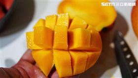 芒果,檨仔,玉文,愛文,金煌,凱特,土芒果