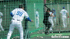 ▲林子偉練打，富邦悍將二軍總教練陳連宏協助拋球。（圖／記者蕭保祥攝）