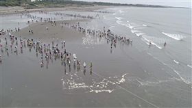 桃園海客文化藝術季牽罟體驗桃園市2018海客文化藝術季牽罟體驗活動10日在桃園永安漁港登場，隨著海螺聲響起，民眾合力將漁網拉上岸，一起分享漁獲，感受客家漁業文化。（桃園市政府客家事務局提供）中央社記者邱俊欽傳真　107年6月10日