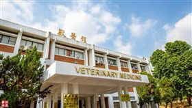 虐貓,飼主,屏東科技大學,動保法(翻攝臉書)