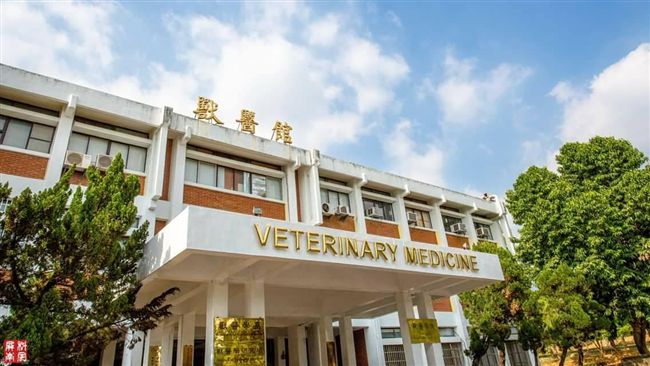 男大生與女友吵架　一腳踹死寄養貓咪