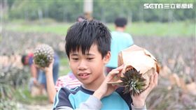 善導書院,鳳梨,偏鄉,全聯福利中心,市價,全聯