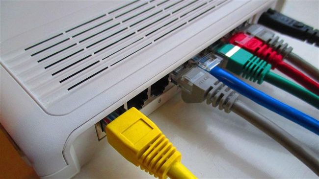 鯊魚又調皮了？中華電信證實斷線原因