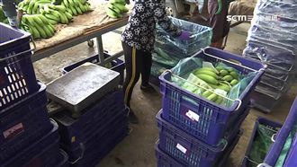 只准低價收購？被打盤商曝對質錄音檔