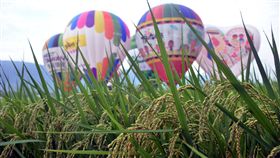 鋒面接近影響台灣　農政單位籲農民防範中央氣象局預報13日起將有鋒面靠近，影響台灣，恐帶來較大雨勢，農政單位12日呼籲農民應儘速做好防汛管理措施，減少損失。（檔案照片）中央社記者盧太城台東攝　107年6月12日