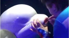 影／無聊當有趣！鯨豚馴養師幫白鯨「塗口紅」被罵翻　圖／翻攝新京報