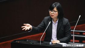 民進黨立法委員林淑芬質詢。 圖／記者林敬旻攝