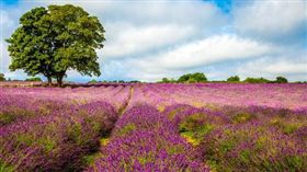 0613英國旅遊業配