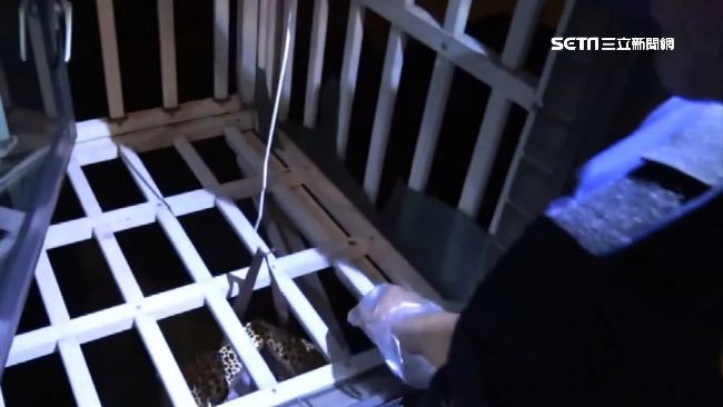 「我沒吸毒」　毒品丟遮雨棚遭警識破