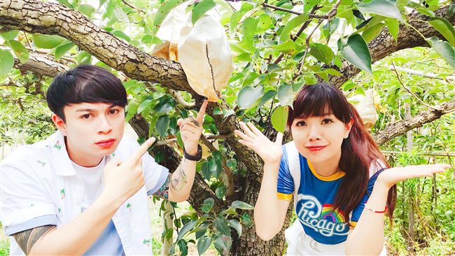 夏季限定超消暑！在樹上的天然飲料？