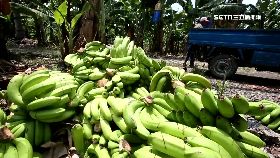 靠北香蕉刪0700(DL)