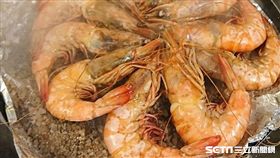 蝦子（圖／記者楊晴雯攝）