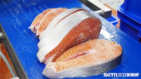 全聯物流中心,鮭魚。（圖／記者馮珮汶攝）