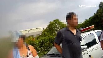 通緝犯採芒果　埋伏警誤認成友人栽了