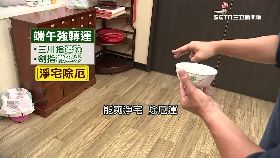 端午強轉運1800
