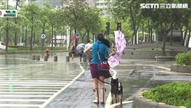 下雨,強風