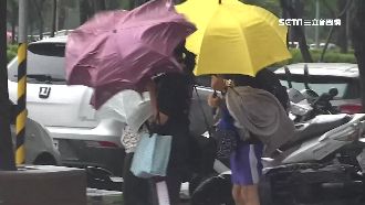 劍魚大迴轉似怪颱韋恩？吳德榮曝動向