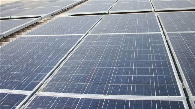 太陽能場惹議　雲縣府：切割養殖綠能