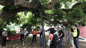 茄苳樹王生態公園　中市府：噴氣工法開挖台中市政府進行茄苳樹王文化生態公園工程，台中市建設局4日邀請老樹棲地改善顧問團與市府農業局樹木保護委員召開小組會議，將以噴氣工法分階段進行開挖，並以人工方式清除底層混凝土廢棄物。（台中市政府提供）中央社記者蘇木春傳真　107年6月14日