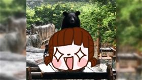 臉書,壽山,動物園,黑熊,波比,打坐,佛系,工讀生,高雄,盤腿,下雨　圖／翻攝自臉書　https://goo.gl/EgdLfp