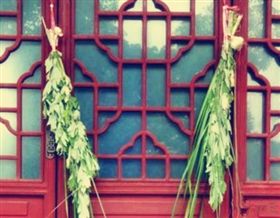 端午節 艾草
圖／翻攝自微博