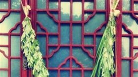 16:9
端午節 艾草
圖／翻攝自微博