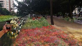 台中，花博，琉璃公園(台中市政府提供)