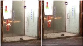 領錢,ATM,真理大學,淡水,飛蟻,大水螞蟻,水蟻,電蚊拍,蟾蜍(圖/翻攝自爆廢公社)