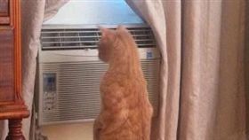 女主拖著疲憊身軀　進門驚見貓開冷氣。（圖／翻攝自臉書爆怨公社）