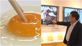 雞蛋博士，好華雞，黃揆元，雞蛋（記者郭奕均攝影）