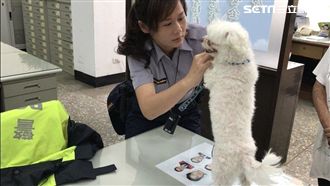 點火活煮瑪爾濟斯　渣男遭逮辯惡作劇