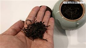 孫于翔,茶行,台灣紅茶,自然農法,茶園,孫紅茶行,聚寶盆