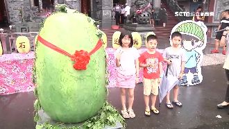 端午立西瓜！ 廟前巨無霸西瓜超吸睛