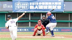 中華職棒新人測試會。（圖／中職提供）
