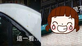 狗,車頂,尿尿,尿漬,修養,施肥,幽默,宮能安,演員,道歉,無奈　圖／翻攝自YouTube https://goo.gl/PVdQTN