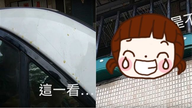 他車頂「遭尿尿」！兇手被抓卻猛裝傻