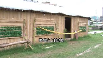 冷血教練狠分屍　華山草原今起停用