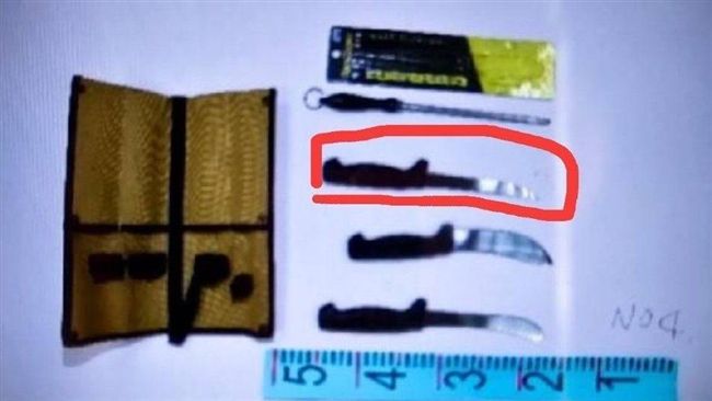 俐落！屍塊切面整齊！嫌：過去殺山豬