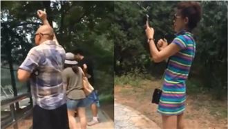 為了看老虎動　陸客竟狂扔石頭挑釁