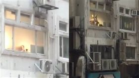 香港上環蘇杭街蘇杭冰室樓公寓男男嘿咻／巴打絲打 Facebook Club