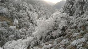 太平山成冰晶世界　遊客：像明信片超美受寒流影響，宜蘭縣太平山13日上午呈現冰晶世界的霧淞美景，有遊客驚呼：「就像明信片般超級美。」（太平山國家森林遊樂區經理賴俊仁提供）中央社記者王朝鈺傳真　107年1月13日