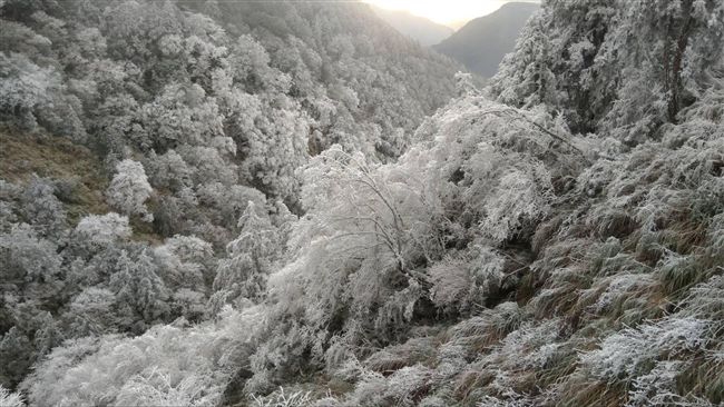 太平山遊樂區傳委外　林務局：評估中