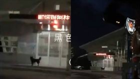 彰化警田中分局源泉派出所跑馬燈出現不雅字眼／黑色豪門企業臉書