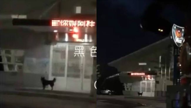 警所遭入侵？跑馬燈竟出現「X你娘」