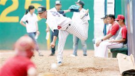 ▲中華職棒舉辦新人測試會。（圖／中華職棒提供）